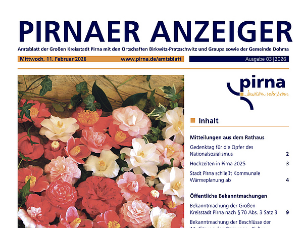 Pirnaer Anzeiger 03/26 vom 11. Februar 2026
