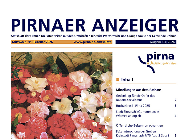 Pirnaer Anzeiger 03/26 vom 11. Februar 2026