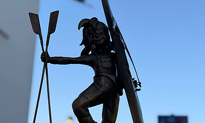 Bronze-Pine aus der Froschperspektive