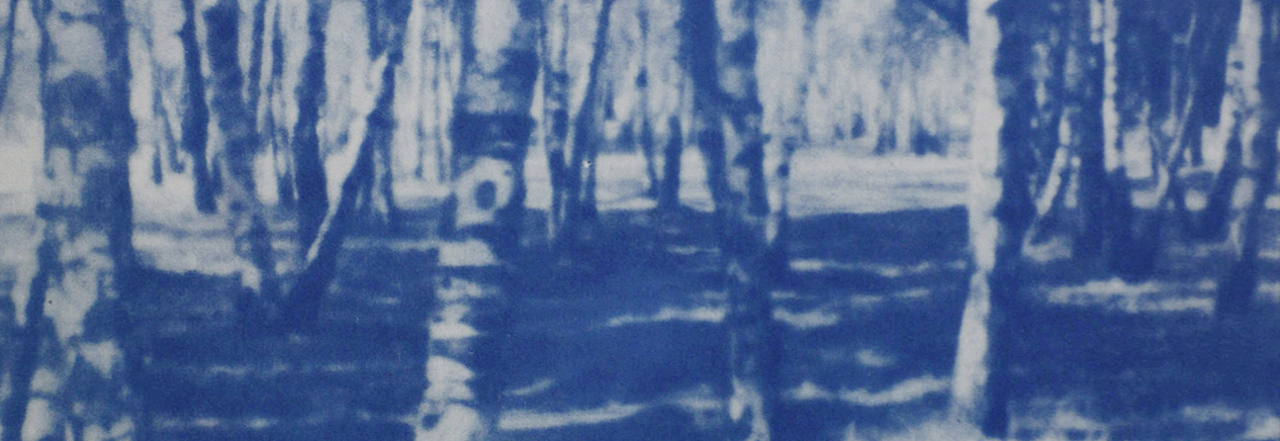 Mauerpark, Cyanotypie, 30 x 20 cm, 2019