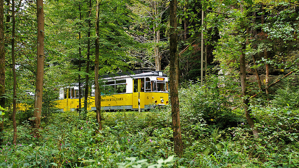 Traditionsbahn im Nationalpark