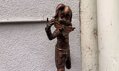 Brillen-Pine as Bronze in Nahaufnahme