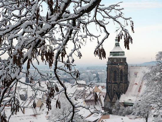 Pirnaer Schlossberghang im Winter