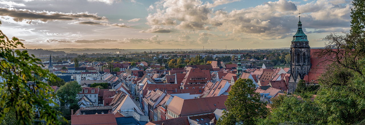 Blick über die Dächer der Pirnaer Altstadt