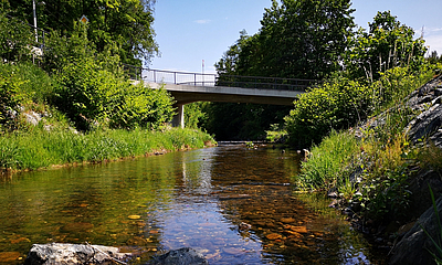 Neundorf Brücke über Gottleuba Brücke über Gottleuba in Neundorf