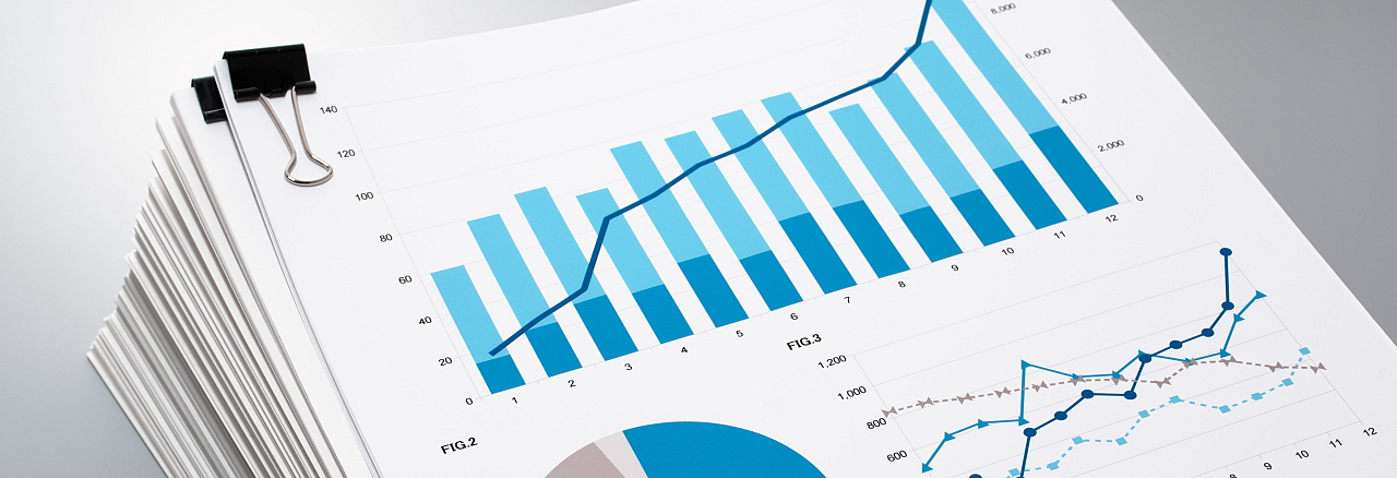 Diagramme als Sinnbild für den Konzern der Stadt Pirna