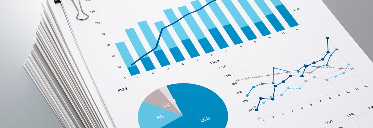 Diagramme als Sinnbild für den Konzern der Stadt Pirna