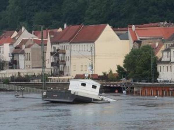 Hochwasser am Elbufer in Pirna