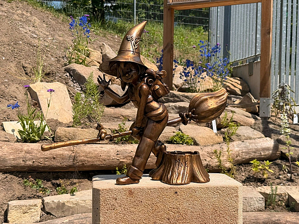 Graupa-Pine von vorn Pirnaer Knirps von Graupa frontal fotografiert