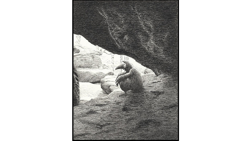 Felsenlabyrinth Rabe unter Felsvorsprung