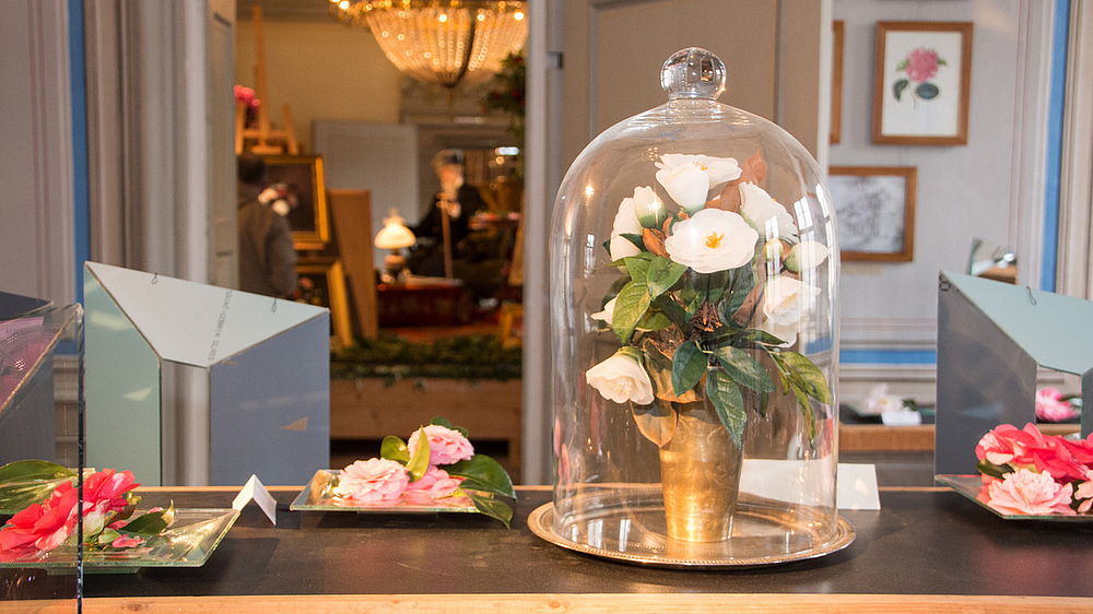 Landschloss Zuschendorf Kamelienblüten