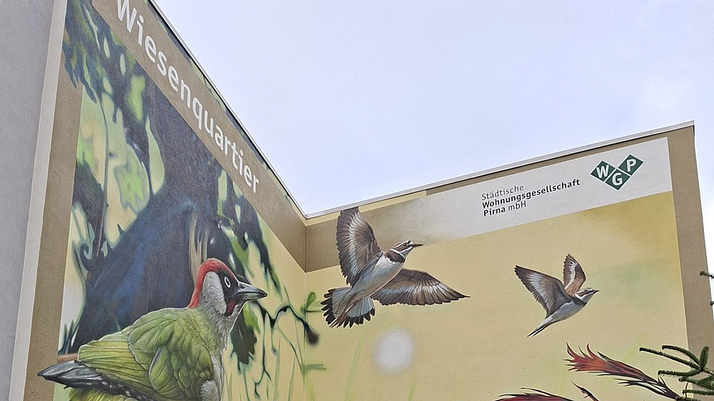 Fassadenbild Wiesenquartier Fassadengestaltung der Wohnungsgesellschaft in Copitz