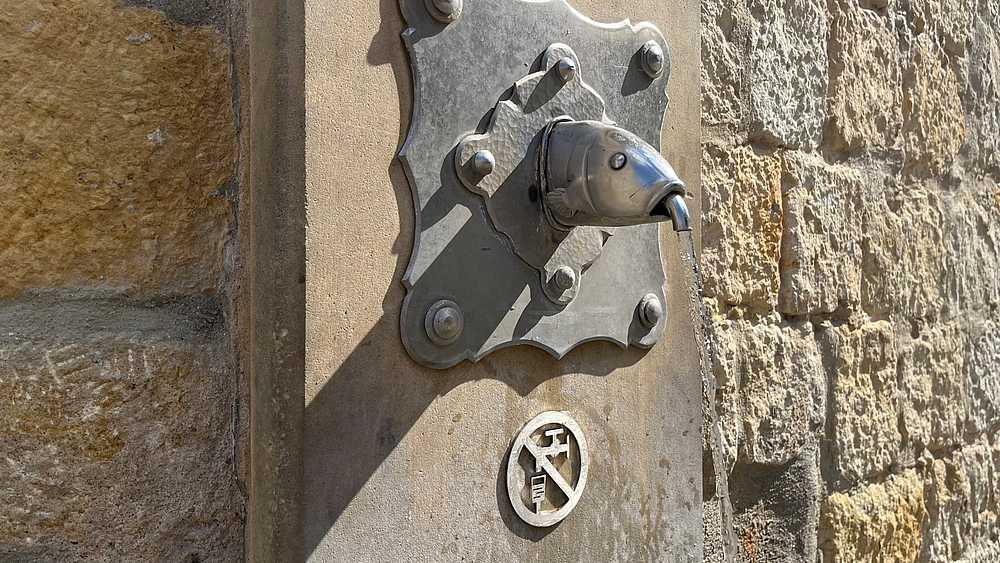 Pirnas Fischkopfbrunnen mit Symbol "Kein Trinkwasser"