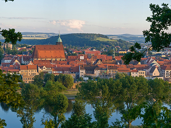 Stadtansicht Pirna im Sommer