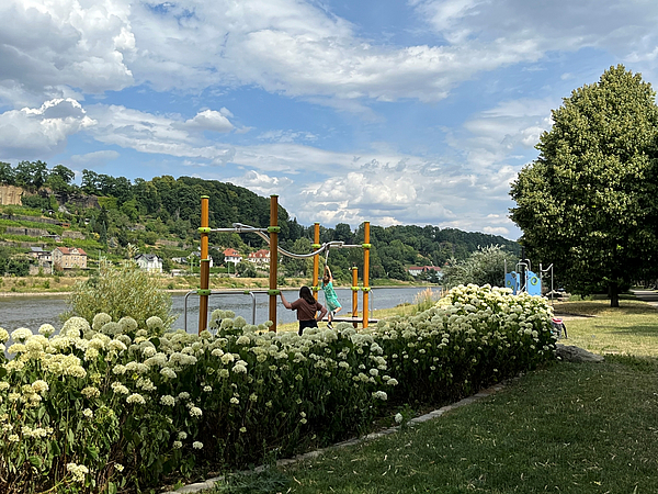 Spielplatz am Elbufer in Pirna