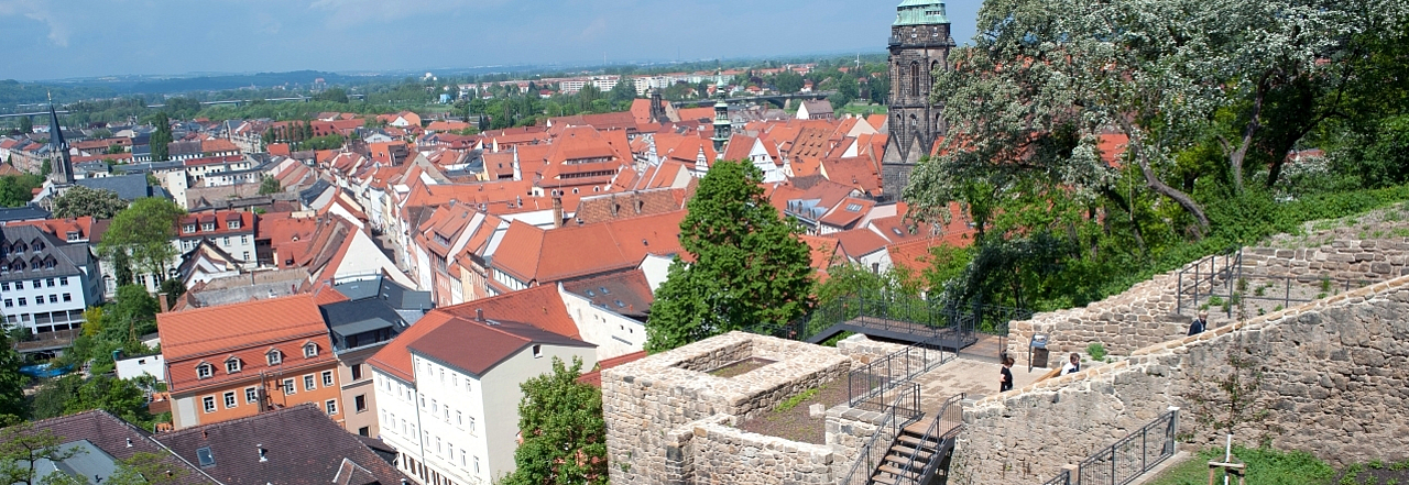 Schlosshang Pirna Terrassengärten am Hang