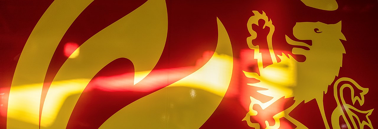 Logo der Feuerwehr Pirna