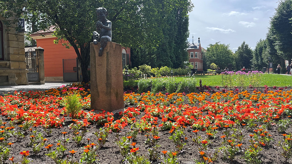 Sommerblüher an der Grohmannstraße