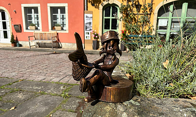 Pirnaer Knirps am Plan