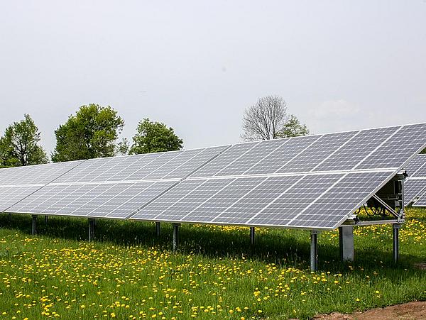 Solaranlage auf einer Wiese in Pirna
