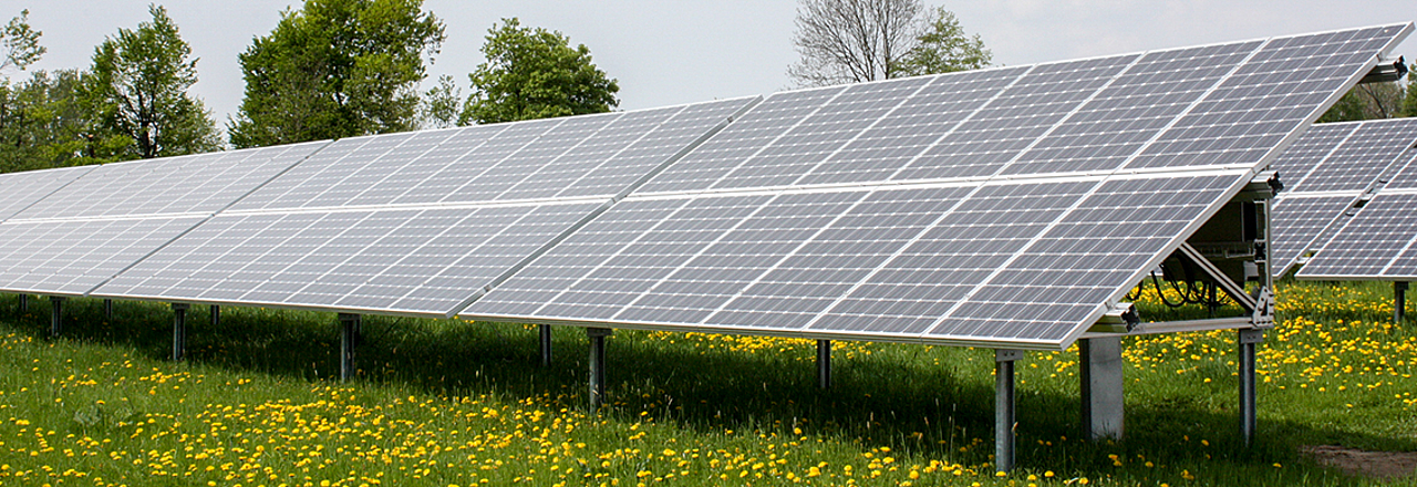 Solaranlage auf einer Wiese in Pirna
