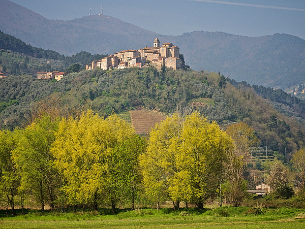 Pirnas Partnerstadt Capannori in Italien