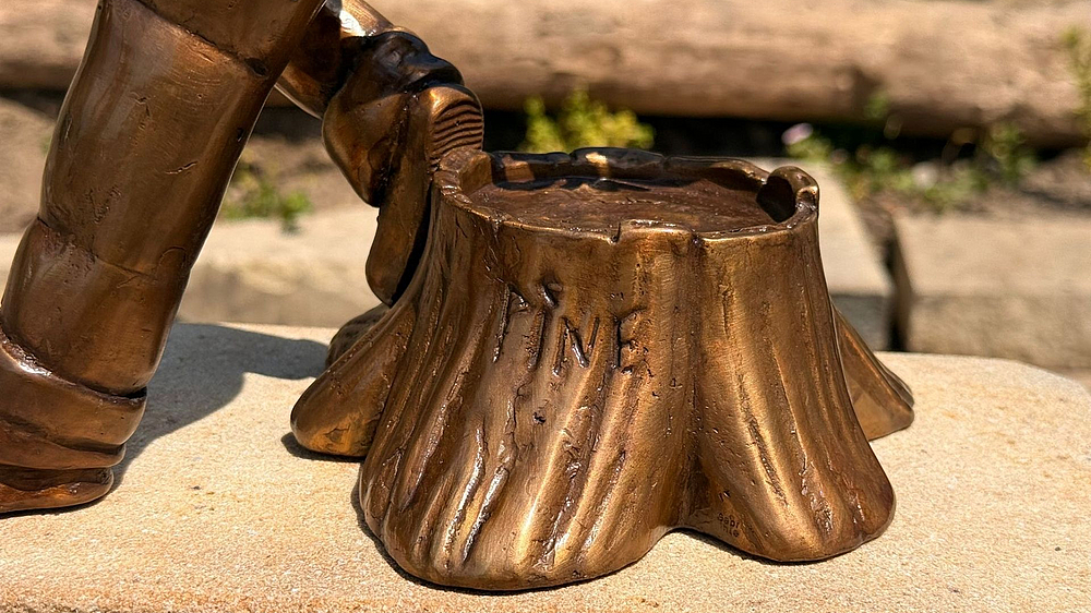 Graupa-Pine Baumstumpf Baumstumm des Pirnaer Knirpses in Graupa mit "Pine" als Innenschrift
