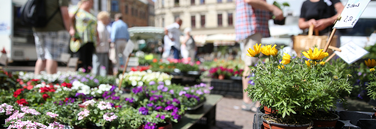 Blumenauslage auf Wochenmarkt