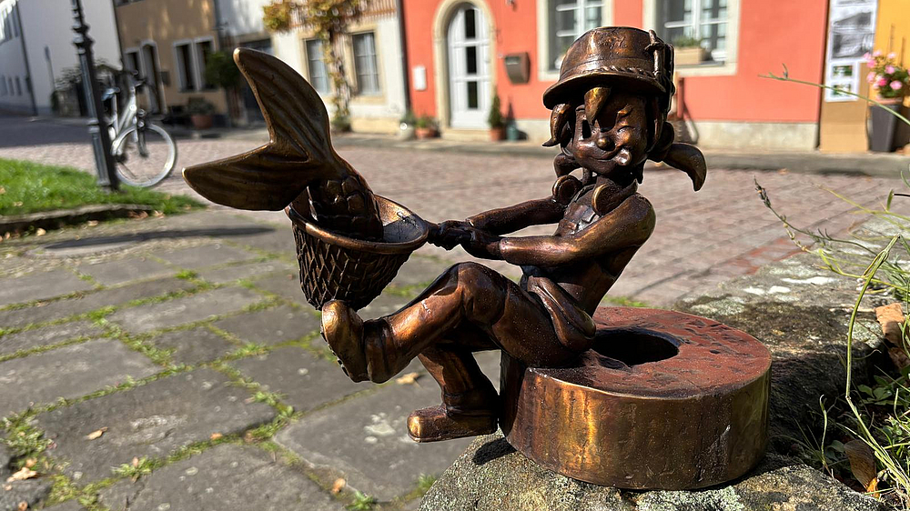 Pirnaer Knirps am Plan von der Seite